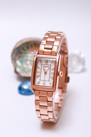 Đồng Hồ Dây Thép Julius JA-1338B1 ( Đồng)
