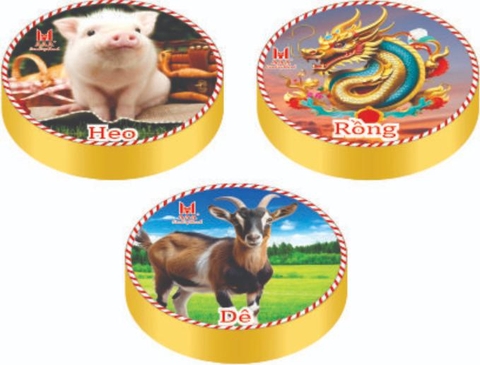 CỜ TRÍ NHỚ NEW LIÊN HIỆP THÀNH