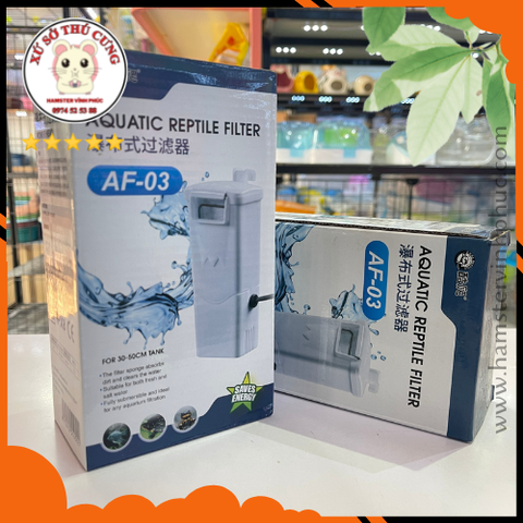 Máy lọc nước cho rùa