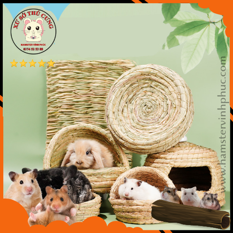 Nhà ngủ cỏ vòm