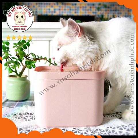 Máy lọc nước cho thú cưng