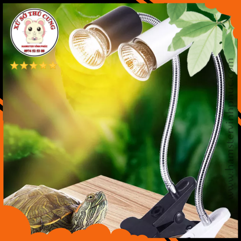 Đèn sưởi cho rùa- Bò sát