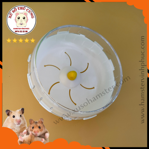 Wheel chạy scandy 17,5