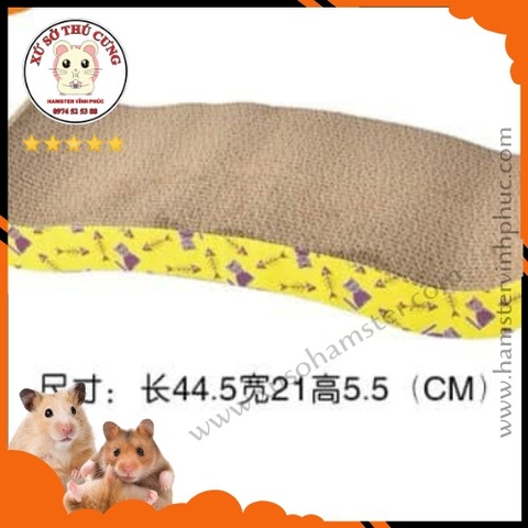 Bàn cào móng cho mèo