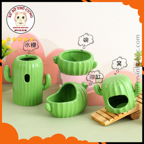 Bộ xương rồng xanh 4 món