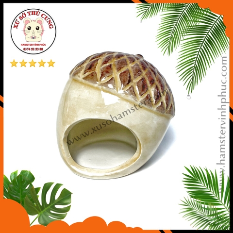 Nhà ngủ hamster hạt rẻ