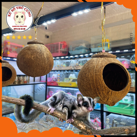 Nhà ngủ gáo dừa