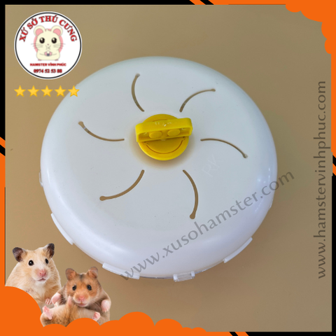 Wheel chạy scandy 21cm