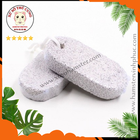 Đá mài răng hamster