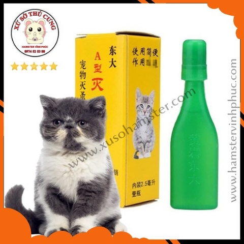 Nhỏ gáy, nhỏ gáy trị ve rận