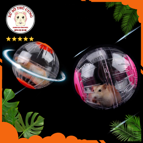 ]Bóng chạy trong 13cm