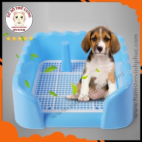 Khay vệ sinh cho chó tường lượn