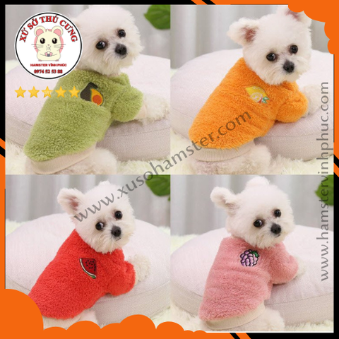 Áo bông hoa quả cho chó mèo