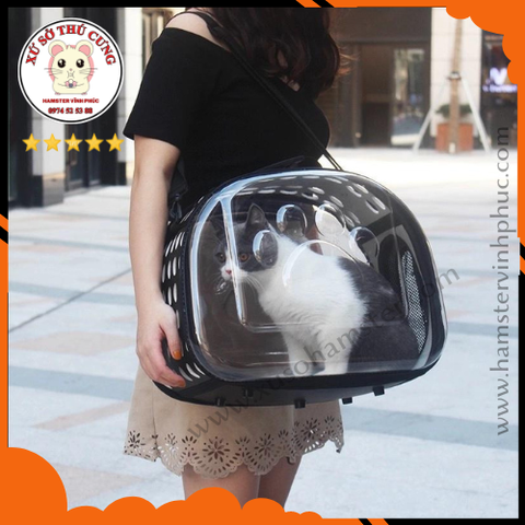 Túi vận chuyển trong suốt