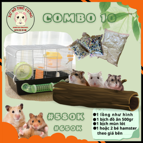 COMBO NUÔI HAMSTER SỐ 10