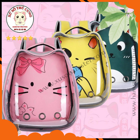 BA LÔ TRONG SUỐT TAI MÈO