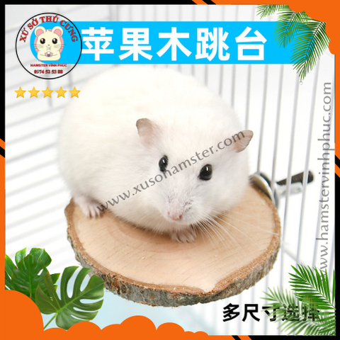 Chốt gỗ hamster
