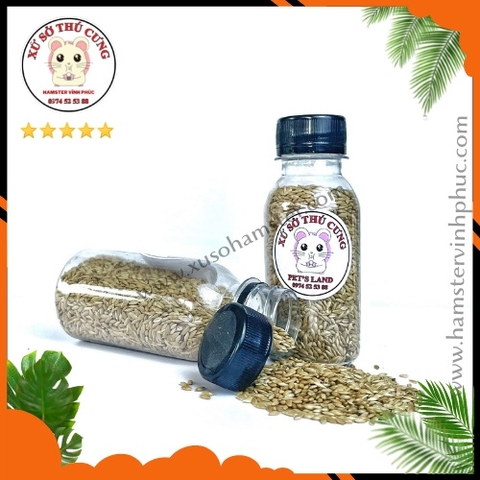 Hạt lanh cho hamster