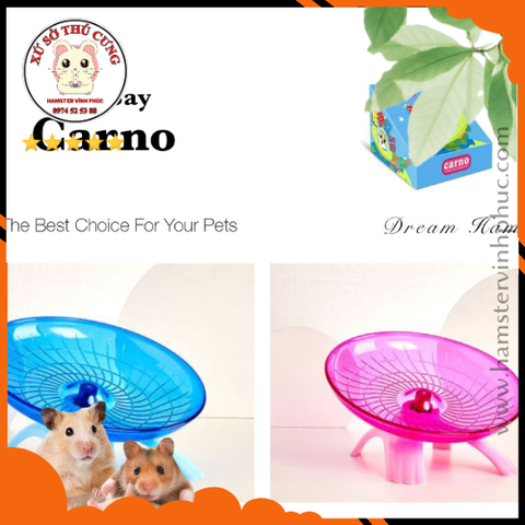 wheel chạy đĩa bay carno cho hamster