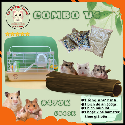 COMBO NUÔI HAMSTER VIP 4