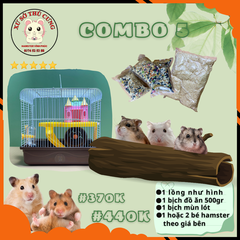 COMBO NUÔI HAMSTER SỐ 5