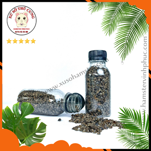 Hạt ba khía cho hamster