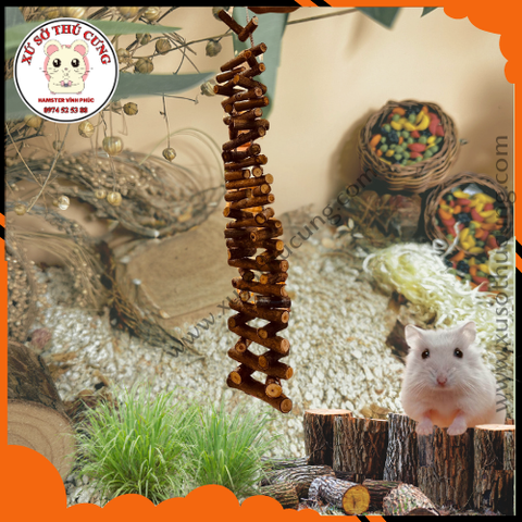 Dây leo cho sóc , chim