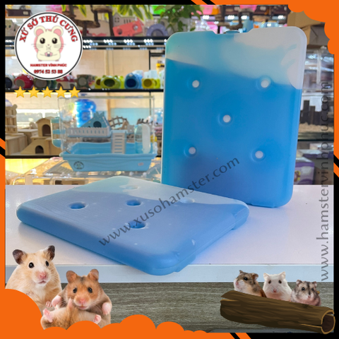 Gel làm mát cho hamster lớn