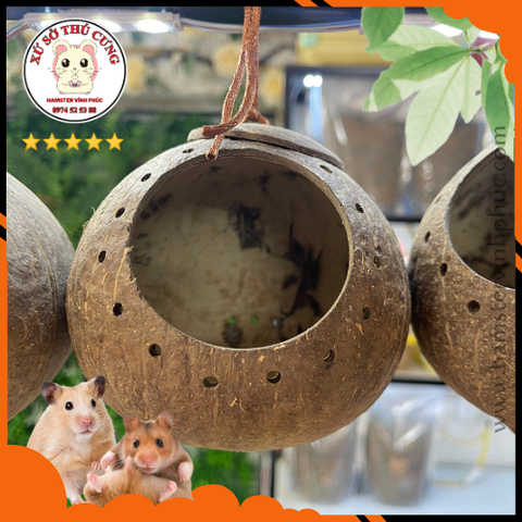 Nhà ngủ gáo dừa đục lỗ làm mịn