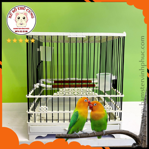 Lồng chim vuông kèm áo. Lồng chim khuyên