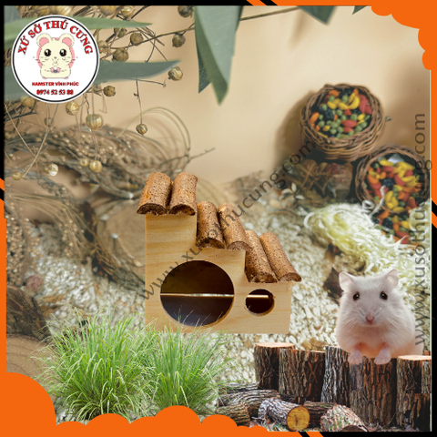 Nhà ngủ bậc thang gỗ mộc nhỏ