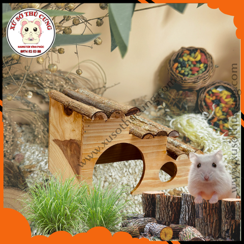 Nhà ngủ bậc thang gỗ mộc nhỏ