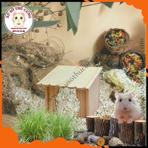 Nhà ngủ gỗ rèm nhiều cỡ