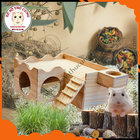 Nhà ngủ sân thượng, phân tầng sân thượng cho hamster