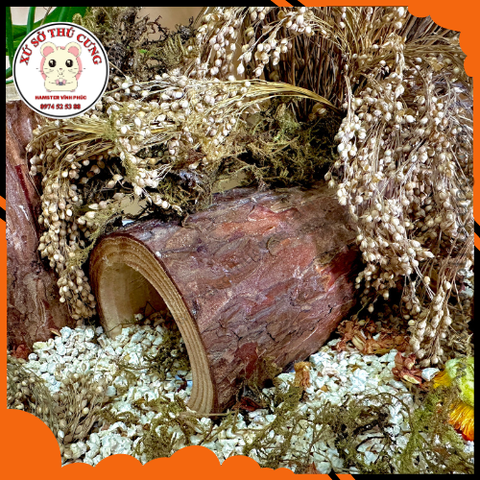 Hầm trú ẩn , hàng trú bằng gỗ mộc