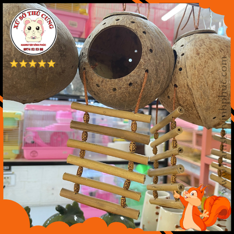 Nhà ngủ gáo dừa cho sóc, vẹt, yến phung, hamster có thang leo