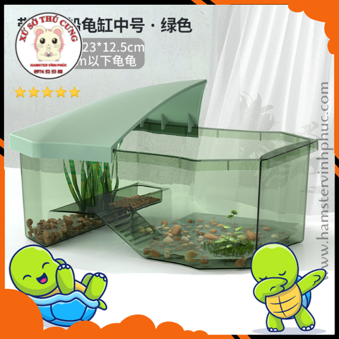 Bể nuôi rùa mái thái