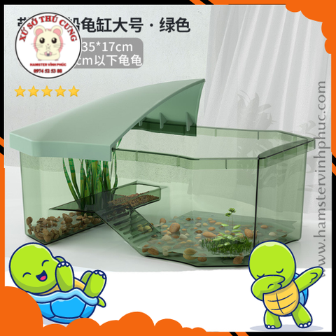 Bể nuôi rùa mái thái