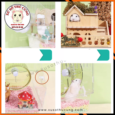 Lồng nuôi hamster mika đế màu