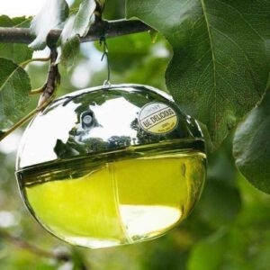 Nước Hoa Donna Karan DKNY Be Delicious