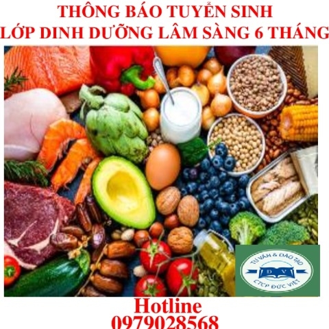 KHOÁ HỌC DINH DƯỠNG LÂM SÀNG 6 THÁNG