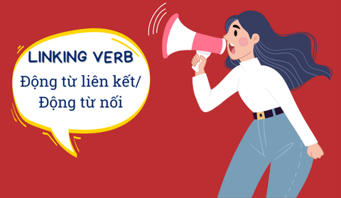 CÁCH SỬ DỤNG ĐỘNG TỪ LIÊN KẾT (LINKING VERB)