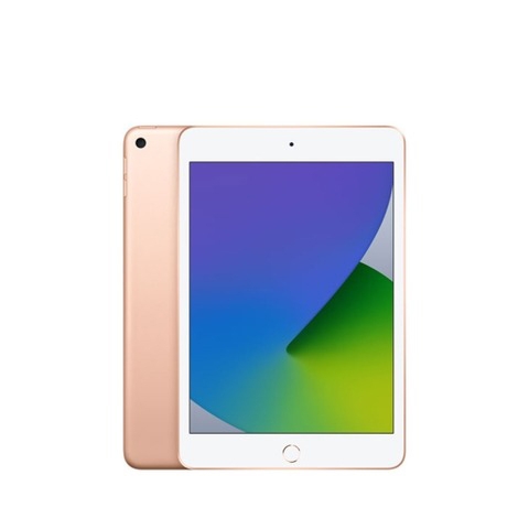 iPad Mini 5 64GB cũ (Wifi/4G)