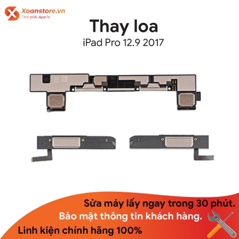 Thay Loa Ngoài iPad Pro 12.9 2017