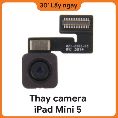 Thay Camera sau iPad Mini 5