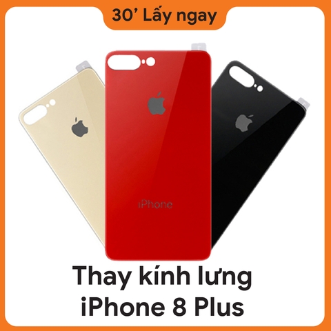 Thay Kính Lưng iPhone 8 Plus