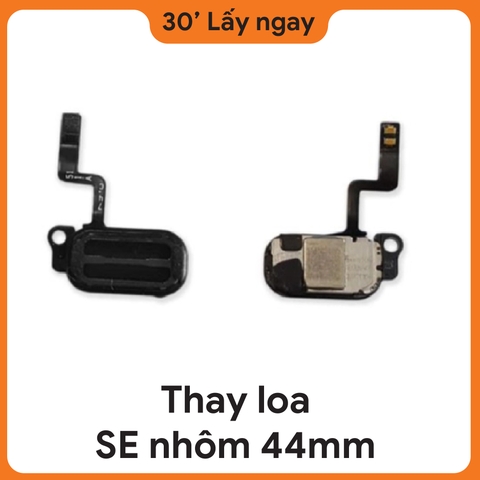 Thay Loa Apple Watch SE 2020