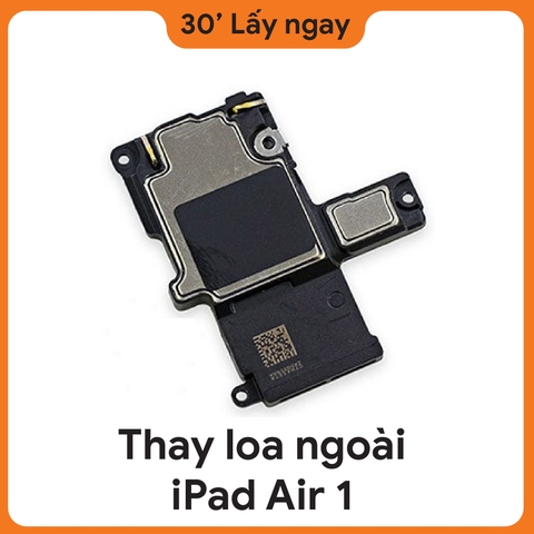 Thay Loa Ngoài iPad Air 1
