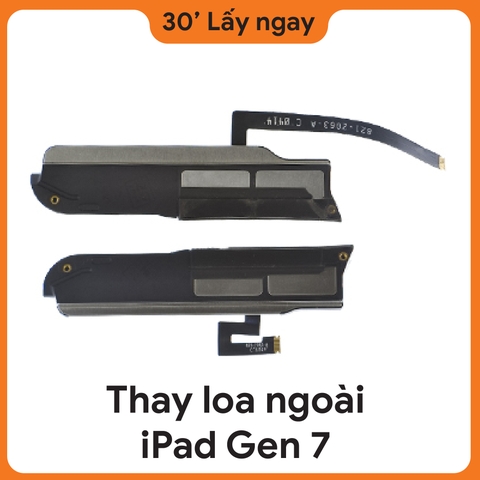 Thay Loa Ngoài iPad Gen 7