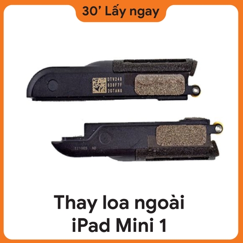 Thay Loa iPad Mini 1